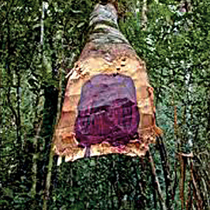 Base Note